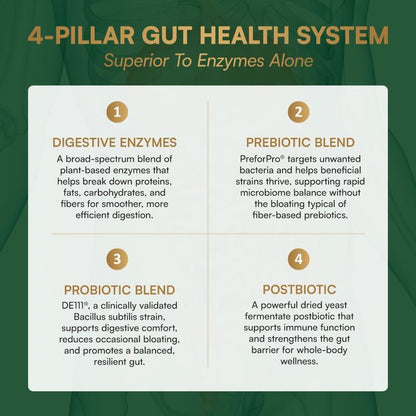 Gutiva Advanced Digestive Enzymes Prebiotic, Probiotic, & Postbiotic Supplement